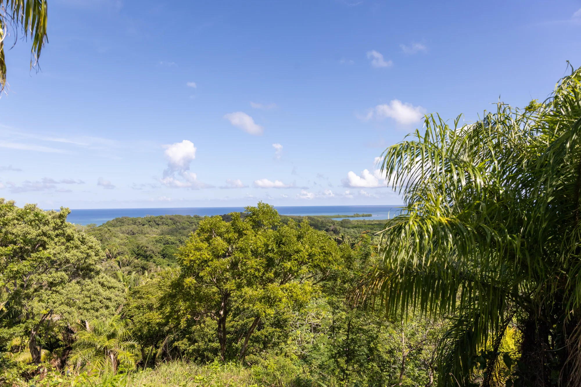 Corozal Reef Heights — 7.5 Acres — exterior photo 14 of 32