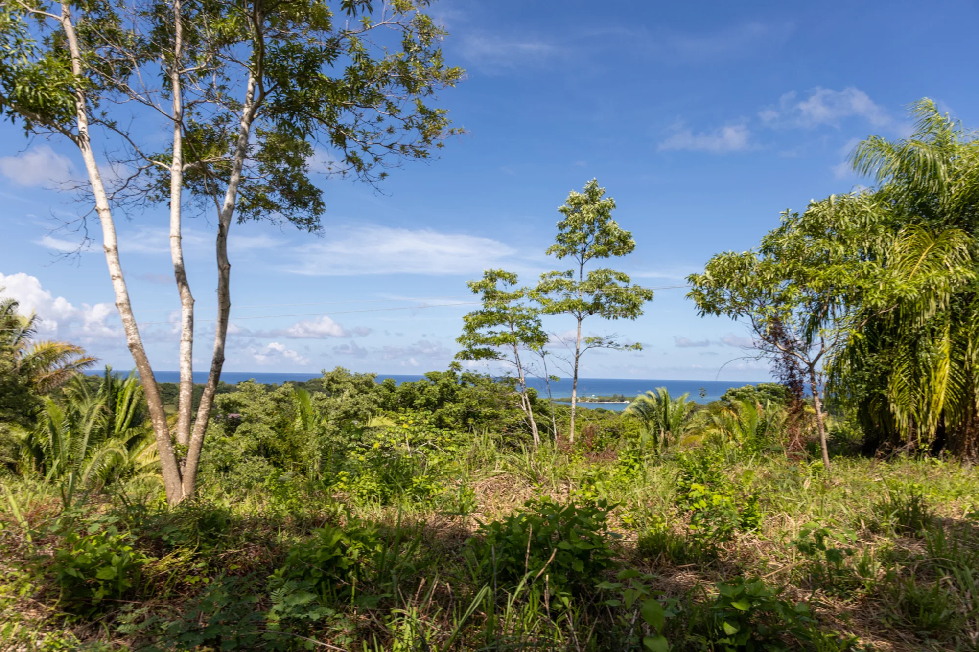 Corozal Reef Heights — 7.5 Acres — exterior photo 18 of 32