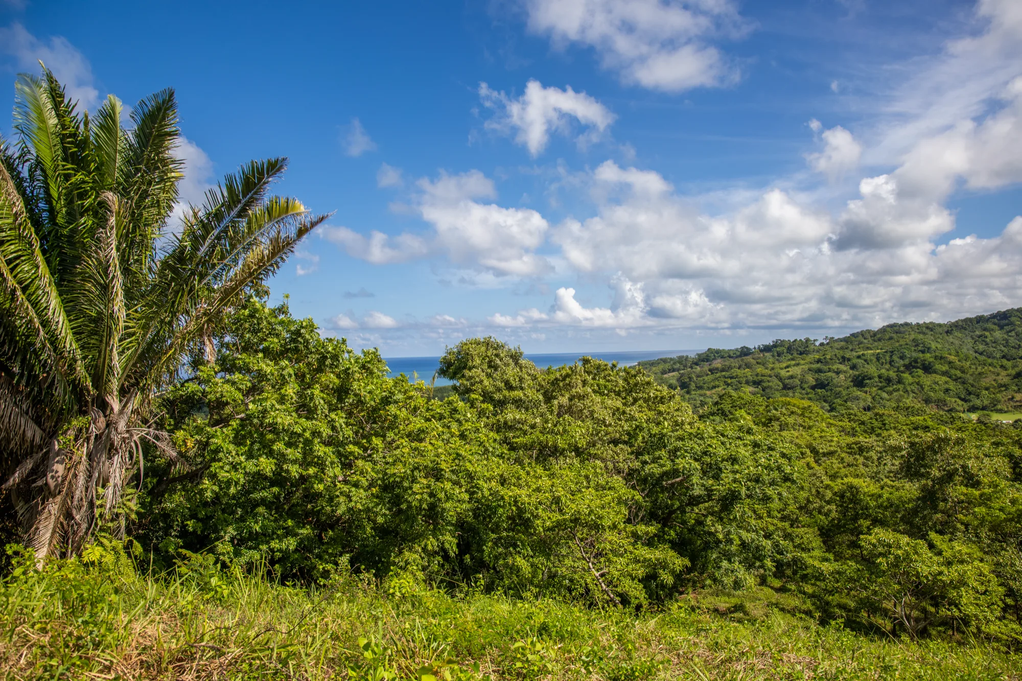 Corozal Reef Heights — 7.5 Acres — exterior photo 23 of 32
