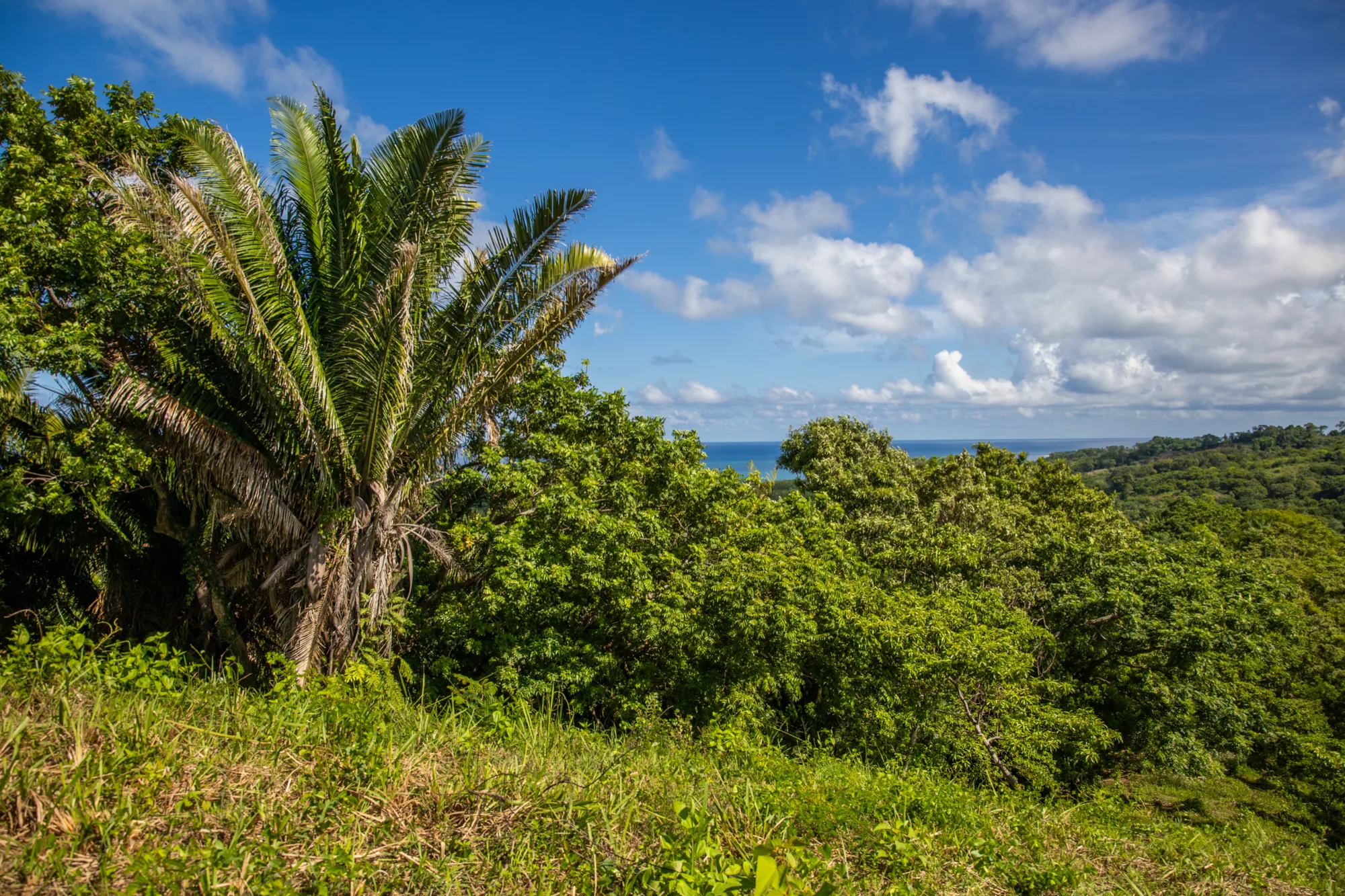 Corozal Reef Heights — 7.5 Acres — exterior photo 24 of 32