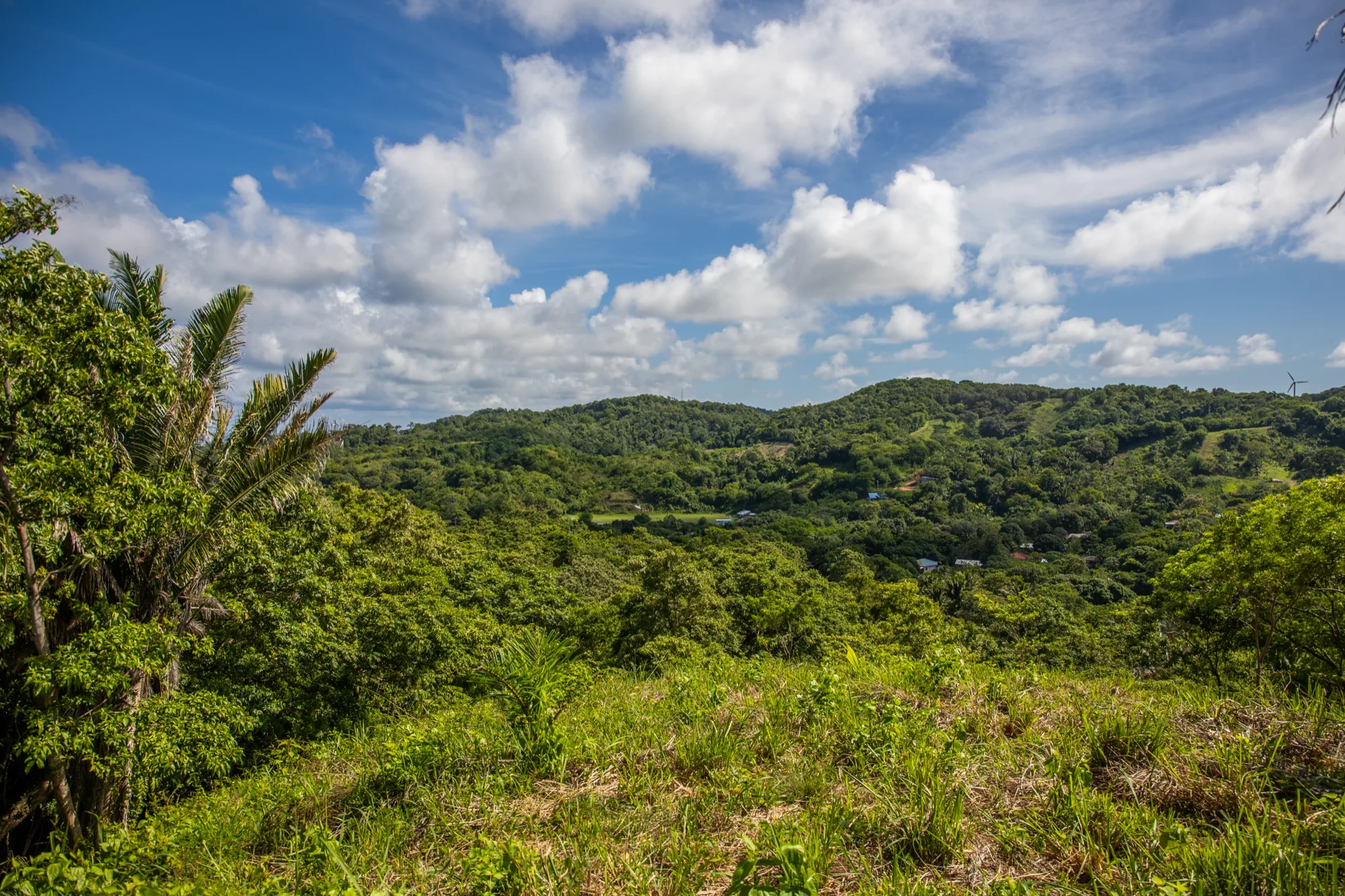 Corozal Reef Heights — 7.5 Acres — exterior photo 25 of 32