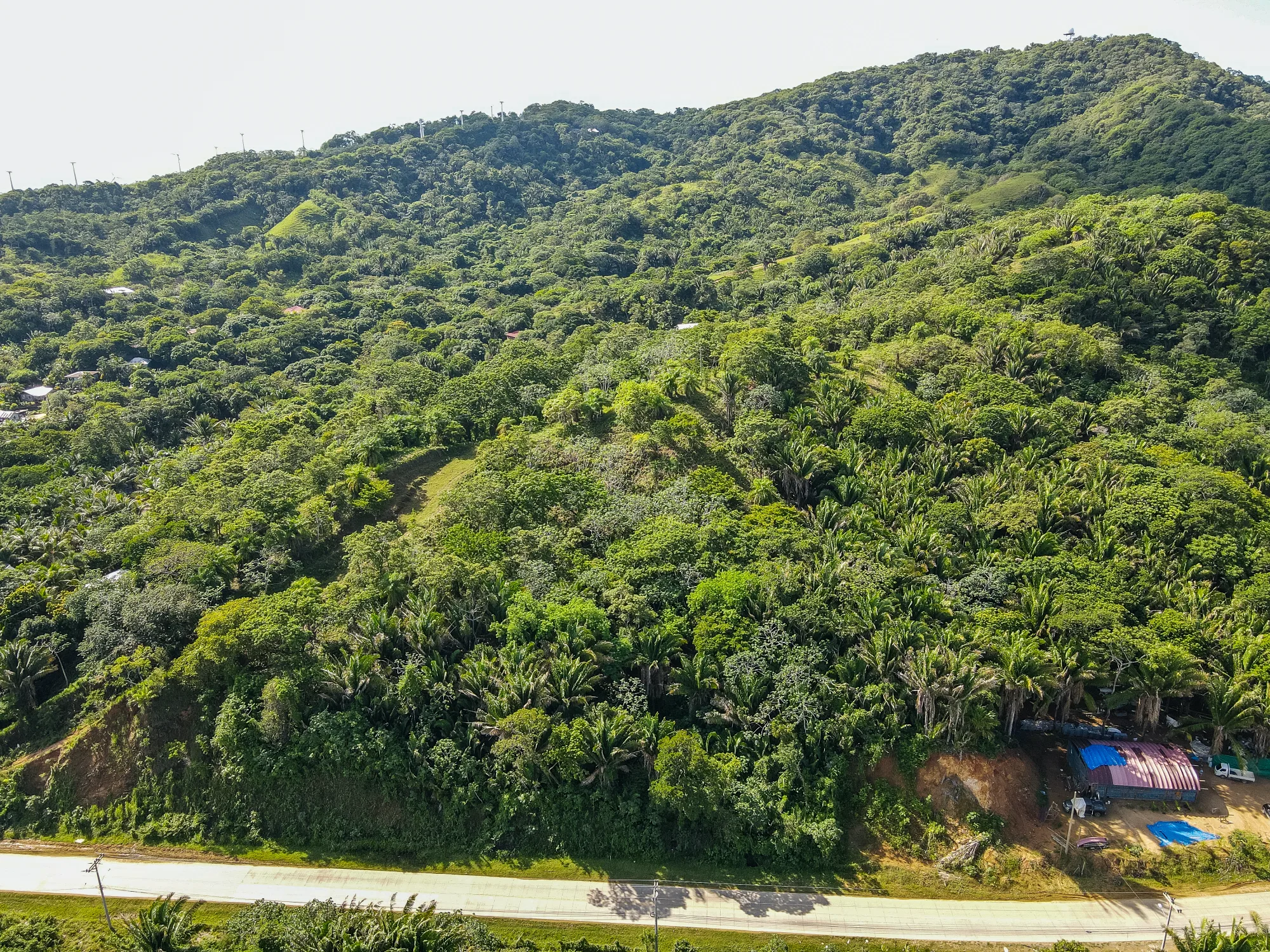 Corozal Reef Heights — 7.5 Acres — exterior photo 3 of 32