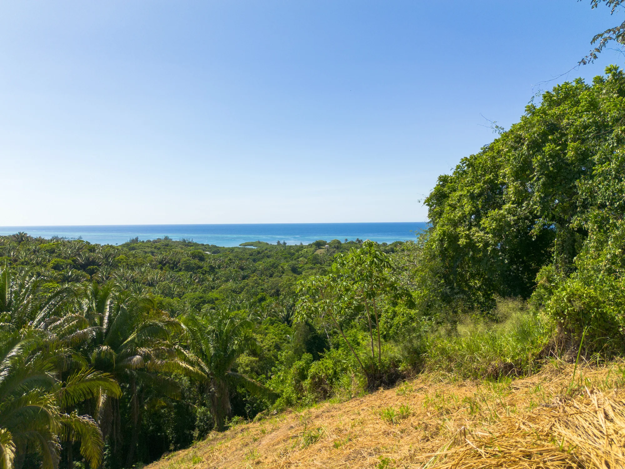 Politilly Bight, 1 Acre Ocean View — exterior photo 19 of 19