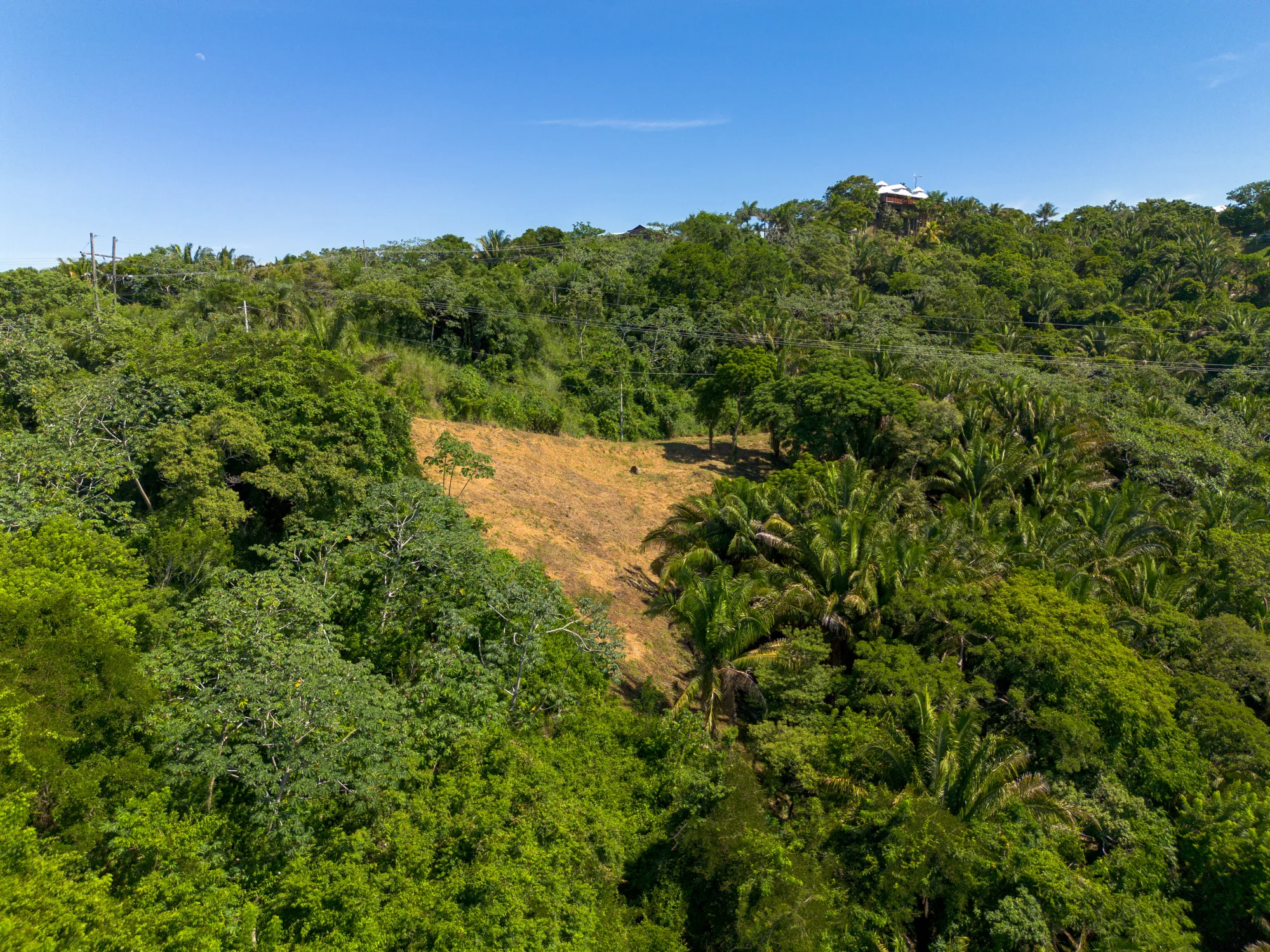 Politilly Bight, Lot #2 — 0.50 Acre — exterior photo 17 of 20