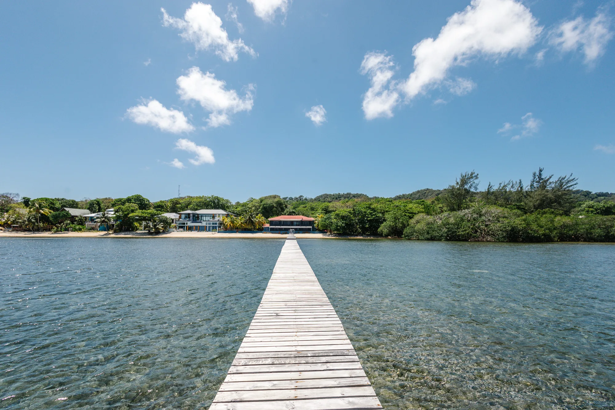 Beachfront Living & Income Retreat — exterior photo 15 of 29